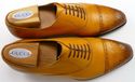 New - GUCCI sz 7.5 BURNISHED CAP TOE OXFORDS 22509