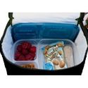 NEW EasyLunchboxes Bento Lunch Box Food Container 
