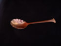To add this item in your Shopping Cart drag and drop this picture there