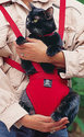To add this item in your Shopping Cart drag and drop this picture there