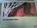 To add this item in your Shopping Cart drag and drop this picture there