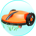 To add this item in your Shopping Cart drag and drop this picture there