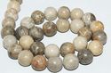 12mm Fossil Round Gemstone Loose Beads