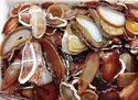 Freesize Agate Slab Gemstone Loose Beads 2pc