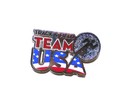 2016 US Olympic Lapel Pin Track & Field Team USA D