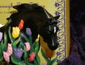 Click here to view item details
