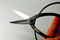 Japanese Bonsai scissors KANESHIN popular,all-roun