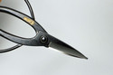 Japanese Bonsai scissors KANESHIN popular,all-roun