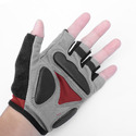 To add this item in your Shopping Cart drag and drop this picture there