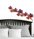 Orchid Flowers Wall Decal - Deco Art Sticker Mural