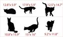 6 Cats Wall Decals in Life Size!  