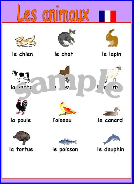 Expand Your French : Animals - French Poster with Pronunciation