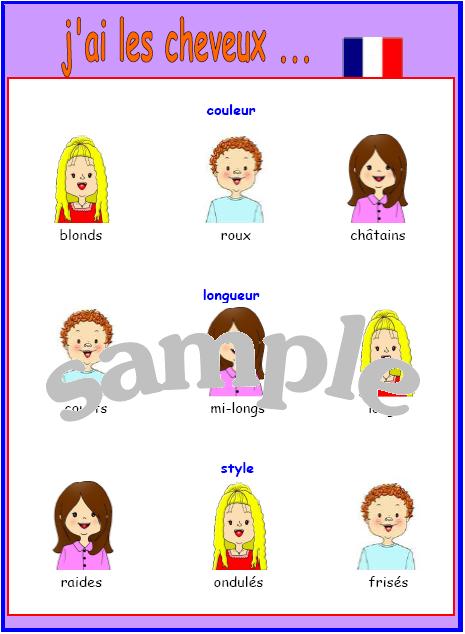 expand-your-french-hair-description-french-vocabulary-poster-with