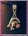 *Pisces Zodiac Star Sign Necklace *Leather Cord 