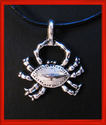 *The Crab *Star Sign Cancer Necklace * on Leather 