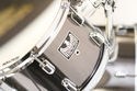 WORLDS FIRST Pintech Jaguar Electronic Acoustic El