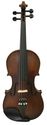 Violin For Dummies Learner's Beginner Package
