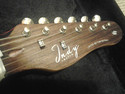 Indy Custom Deluxe Rosewood Solid Body Electric Gu