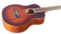 Morgan Monroe Vintage Finish Mini/Travel Acoustic 