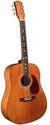 Indiana Herringbone Dreadnought Acoustic Guitar