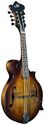 Morgan Monroe F Style Walnut Finish Mandolin With 