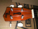 Eddy Finn Minnow Natural Ukulele With GiG Bag!