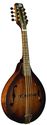 Morgan Monroe A Style Walnut Finish Mandolin With 