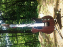 Indy Custom Deluxe Rosewood Solid Body Electric Gu