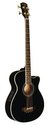 Indiana Scout Acoustic Electric Bass Black with Ba