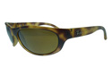 New Ray Ban Polarized Sunglasses Light Havana with