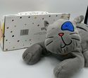 Caillou Pet Gilbert the Cat Naptime Floppy Plush S