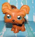 Littlest Pet Shop #398 Tan Yorkie Yorkshire Terrie