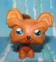 Littlest Pet Shop #398 Tan Yorkie Yorkshire Terrie