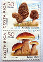 COSTA RICA 1999 FUNGI COLLECTION 50 COLONES SET OF