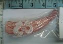 Acrylic Rhinestone Hair Clip, Hair Claw Banana Cli