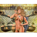To add this item in your Shopping Cart drag and drop this picture there