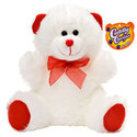 To add this item in your Shopping Cart drag and drop this picture there