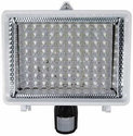 Click here to view item details