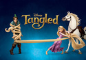  DISNEY- TANGLED  VINYL BANNER  POSTER  48"X72" 4X