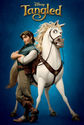  DISNEY- TANGLED  VINYL BANNER  POSTER  48"X72" 4X