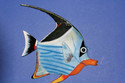 To add this item in your Shopping Cart drag and drop this picture there