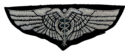 US ARMY AIR FORCE FLIGHT SURGEON PILOT SILVER WING