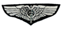 US ARMY AIR FORCE FLIGHT SURGEON PILOT SILVER WING