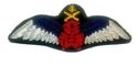 PAKISTAN ARMY AVIATION PILOT BULLION WIRES WING  E