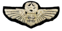 US AIR FORCE MASTER NAVIGATOR OBSERVER WINGS SILVE