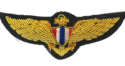 THAILAND AIR FORCE PILOT GOLD BULLION WIRE WING  E