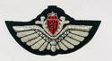  NORWAY AIR FORCE PILOT SILVER BULLION WIRE WING  