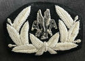 AMERICAN AIRLINE PILOT HATS PIN WITH BUTTERFLY CLU