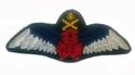 PAKISTAN ARMY AVIATION PILOT BULLION WIRES WING  E