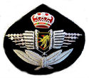 BELGIUM AIR FORCE PILOT HAT CAP BADGE NEW HAND EMB